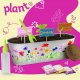 Paint & Plant Flower Growing Kit for Kids
