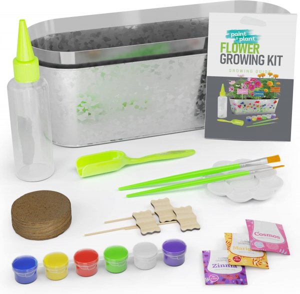 Paint & Plant Flower Growing Kit for Kids