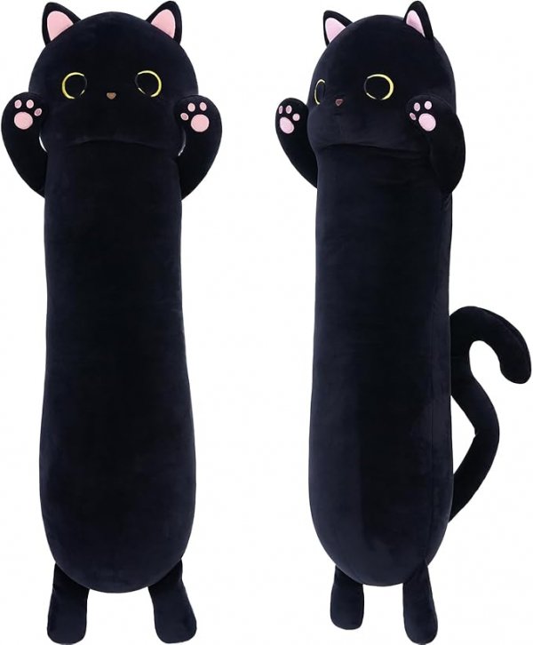 Long Black Cat