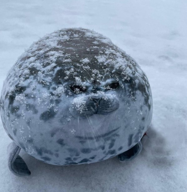 Seal Plush Pillow: Soft Stuffed Animal Toy